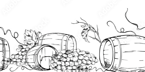 Horizontal seamless wine banner with cellar keg barrels, grapevines, leaves and tendrils, fruit bunches. Ink vector illustration for vineyard branding, packaging edges, aging certificates and inserts