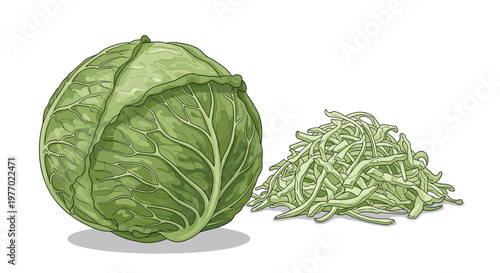 Large whole green cabbage is paired with a mound of thinly shredded pieces to illustrate fresh produce preparation on a plain white surface.