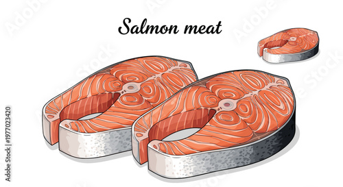Fresh raw salmon steaks with bright pink flesh and silver skin ready for cooking presented on a clean white background.