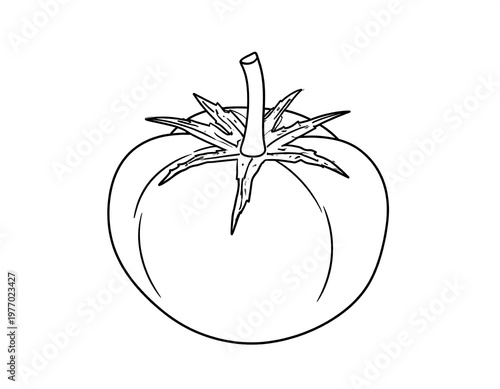 Simple, black-and-white outline of a round, ripe tomato. The stem and leafy calyx are detailed. A classic illustration