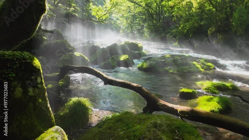 菊池渓谷の光芒