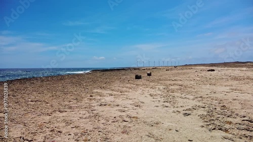 Beautiful view of Arikok National Park rocky coast with Caribbean Sea and wind turbines on horizon. Aruba.