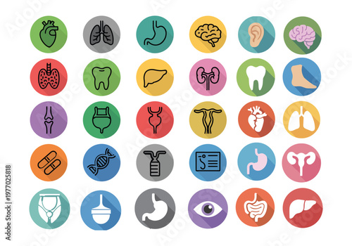A collection of linear human internal organs and body parts presented as circular medical icons