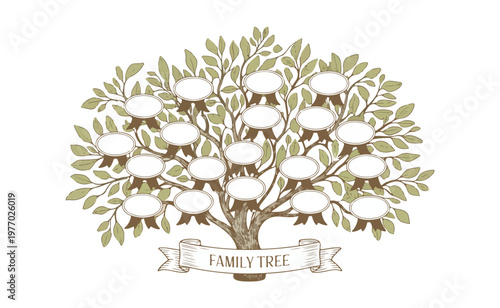 A beautifully illustrated family tree with empty oval frames for names and a decorative banner below