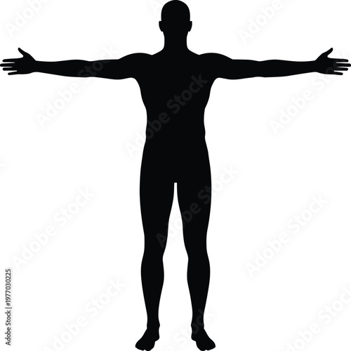 Front view silhouette of human figure standing upright with arms extended horizontally in T‑pose posture, minimal vector illustration isolated on white background for anatomy design concepts