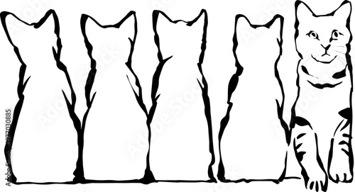 Minimalist vector illustration of cat rows and groups sitting together in a row hand drawn line art