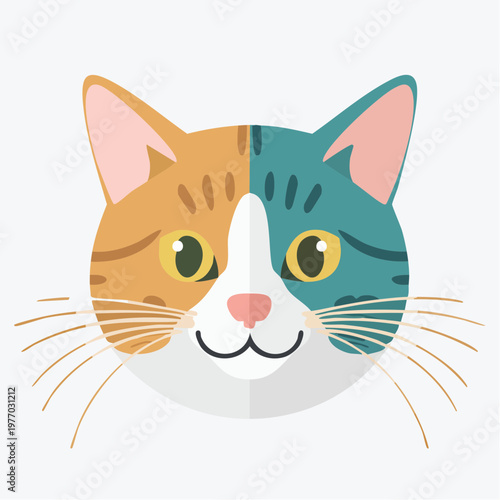 A cute cartoon illustration of a mixed colored cat face with orange and blue markings.