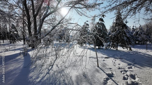 Sunny Winter Park Path With Snow Covered Benches And Frosted Trees