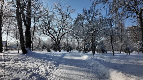 Slow Push In Of Snowy Park Path With Benches And Trees In Winter