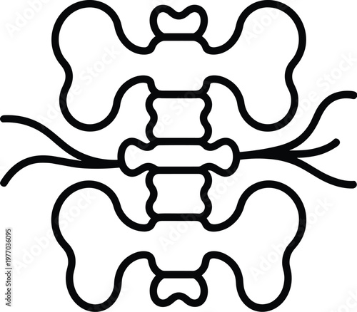 Black line of lumbar spine and pelvis vertebrae bones vector illustration EPS PNG file