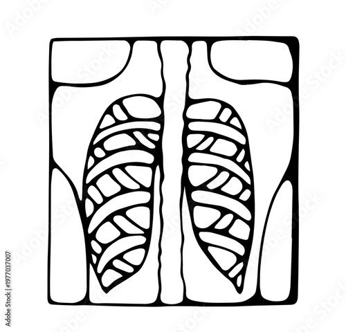 Chest x ray lungs medical radiology doodle illustration