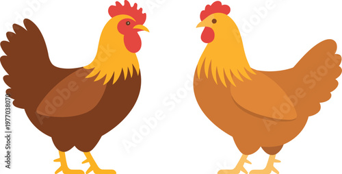 Rooster and hen stand together, symbolizing farm life and organic poultry.