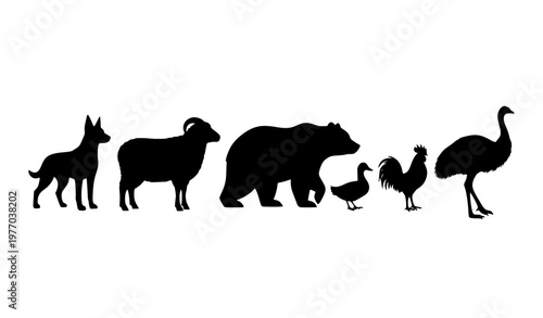 Photography Animal silhouettes set with dog sheep bear duck rooster and emu simple black vec