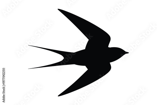A black silhouette of a bird in flight against a white background