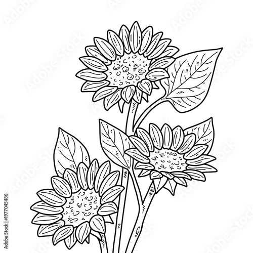 A beautiful hand-drawn outline illustration of a sunflower, capturing its botanical details with a vintage aesthetic. Evokes a serene summer atmosphere, suitable for various decorative design projects
