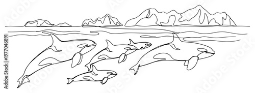 Bild auf Leinwand Orca pod swimming in the ocean with mountains landscape