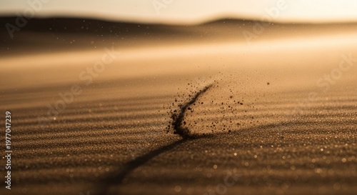 Desert Sand Dune with a Small Plant and Shadow.