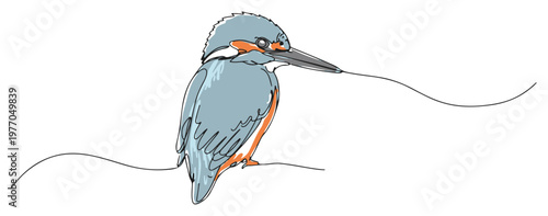 Common Kingfisher bird colored continuous one line drawing minimalist nature wildlife vector illustration