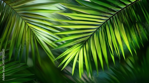 Vibrant Tropical Paradise with Lush Green Palm Leaves, Exotic Textures, and Sunlit Shadows
