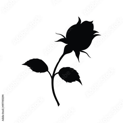 rose hip silhouette art