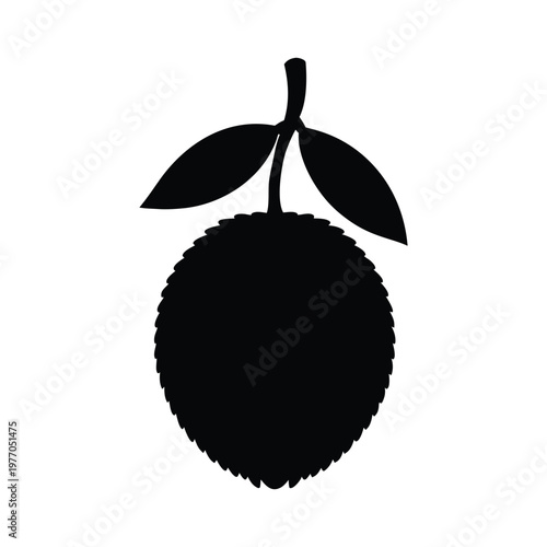 desert quandong fruit silhouette art