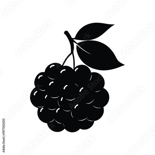 choke berry fruit silhouette art