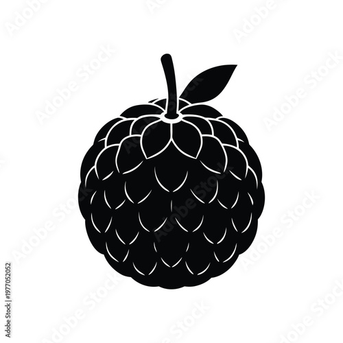 custard apple fruit silhouette art