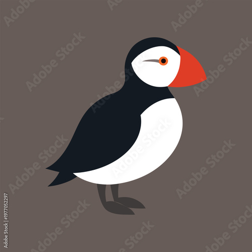 puffin vector art