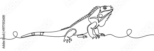 Iguana crawling along continuous line minimalist background, none editable strokes