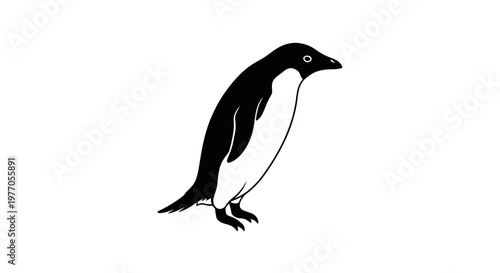 Minimalist black and white penguin standing on white background