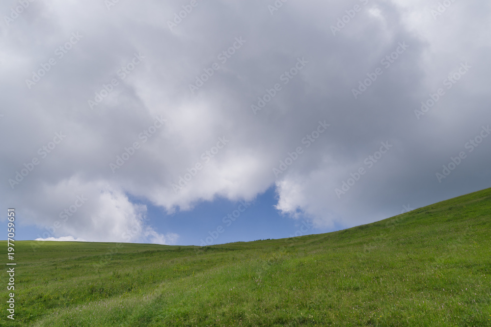Obraz premium Green pasture land against sky