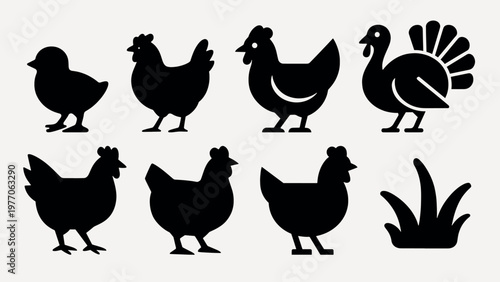 Silhouettes of farm birds vector set