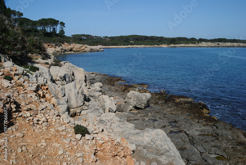La costa vicino alla torre del Lazzaretto