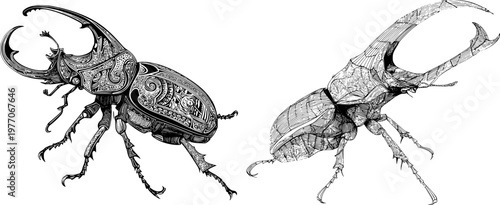 A detailed Hercules beetle illustration showcases intricate black-and-white line art against a stark white background, featuring elaborate patterns and bold horns in a monochrome coloring book style