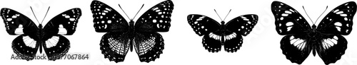 An intricate eggfly butterfly with distinct spots in a stark black silhouette, rendered in flat vector style on a pure white background, showcasing crisp high contrast edges and minimalist stencil