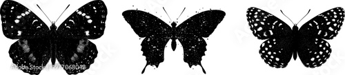 A detailed black-and-white illustration of a butterfly with intricate speckled wings and stark black silhouette, rendered in a flat vector style against a pure white background, showcasing crisp high