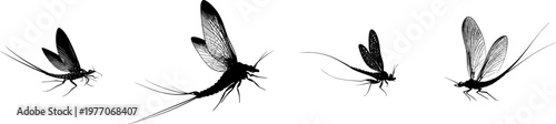 A minimalist stencil design of an elegant mayfly with three long tails, stark black silhouette, isolated on a pure white background, showcasing crisp high contrast edges