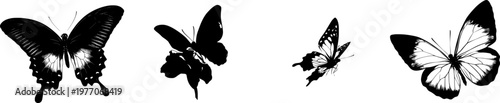 A stunning black-and-white orchid butterfly mid-flight, with crisp high-contrast edges and minimalist stencil design, isolated on a pure white background