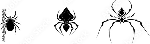 A minimalist, elegant ricinuleid tickspider illustration in a flat vector style, isolated on pure white with crisp high contrast edges, ideal for tracing purposes