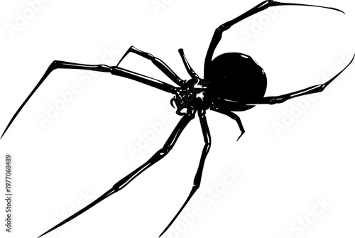 Elegant, iconic black widow spider illustration with a stark red marking, rendered in flat vector style against a pure white background