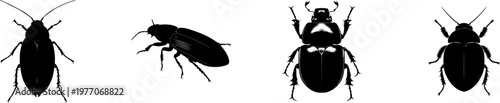 A giant water scavenger beetle with a smooth oval profile, stark black silhouette, flat vector style, isolated on pure white background, crisp high contrast edges, minimalist stencil design, perfect