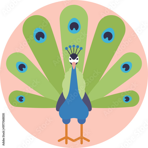 A simple outline of a peacock with a fanned tail, using clean curves to suggest its iconic feather display and elegant posture.