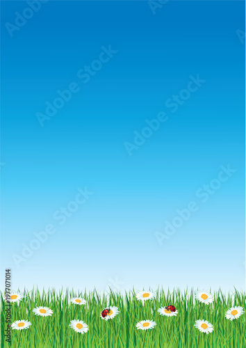 A4 flyer for spring with daisies and blue sky. Hand-drawn vertical vector illustration.