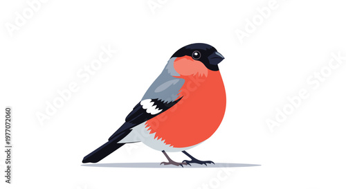 Bullfinch bird with bright red breast and black cap stands against a plain white background in a simple flat vector illustration style.