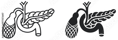 pancreas anatomy icon, digestive gland with bile duct and gallbladder, outline and silhouette vector illustration isolated on transparent background