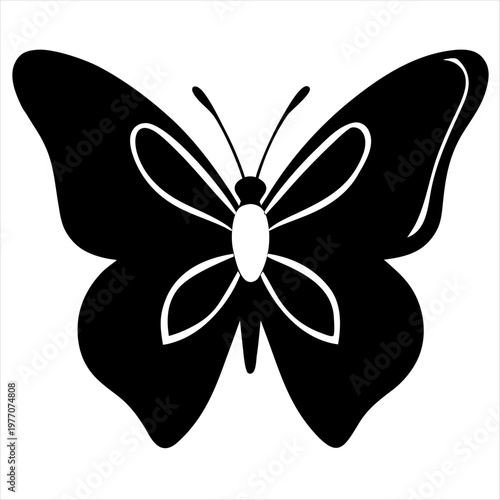 Elegant black and white butterfly with delicate wing patterns and antennae