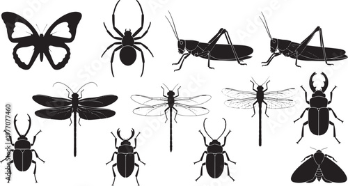 Set of insect silhouettes vector illustration including butterfly spider grasshopper dragonfly and beetles isolated on white background
