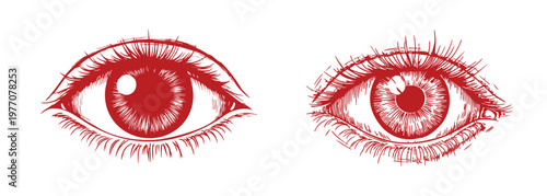 Detailed red eye illustrations vector set