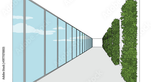Meticulous rows of dense green foliage create a living wall parallel to a vast glass window reflecting a pristine blue sky with soft wispy white clouds.