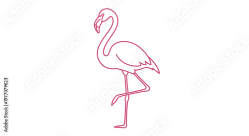 pink flamingo on white background